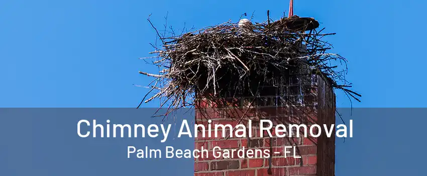 Chimney Animal Removal Palm Beach Gardens - FL