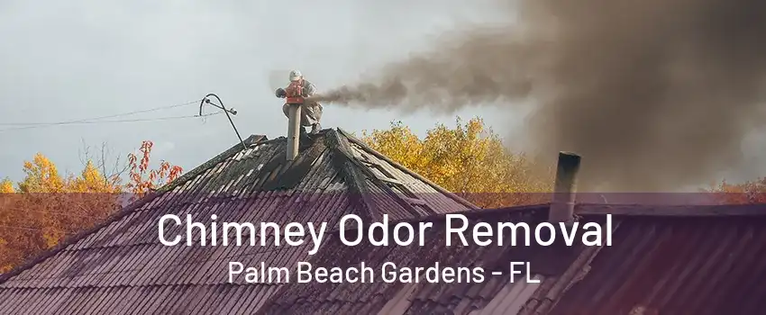 Chimney Odor Removal Palm Beach Gardens - FL