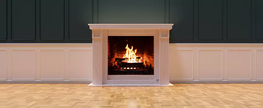 Napoleon Electric Fireplaces Inspection Service in Palm Beach Gardens, Florida