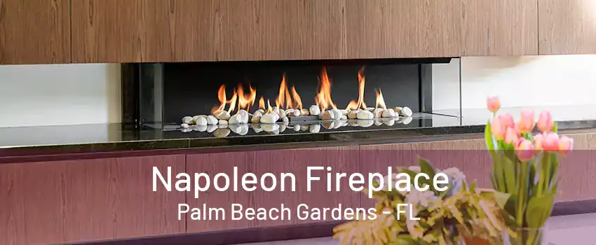 Napoleon Fireplace Palm Beach Gardens - FL